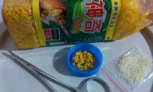 麦麸变饵料,鱼儿抢着咬!钓鱼人必学的自制饵料秘籍