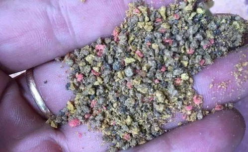 钓鱼饵料散泡怎么做?手把手教你制作完美散泡饵料