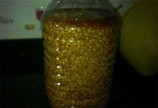 自制钓鱼饵料毛毛虫,简单易做,效果显著!