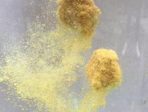 不掉钩的钓鱼饵料怎么做?自制超强粘性饵料,鱼儿上钩率翻倍!