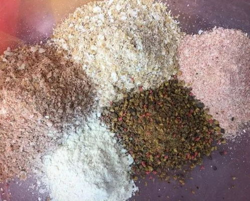 钓鱼饵料盘挂式怎么做?手把手教你打造专属装备!