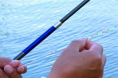 自制带漂钓鱼饵料秘方,轻松提升钓鱼成功率!