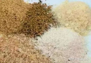 蓝鲫钓鱼饵料秘方,从零开始的实战教学