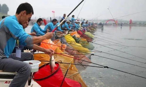 抛竿钓鱼饵料笼的使用方法,从入门到精通