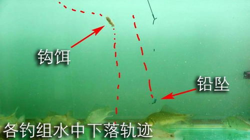 轻飘飘钓鱼饵料怎么样?浅析轻饵钓法的适用场景与选择技巧