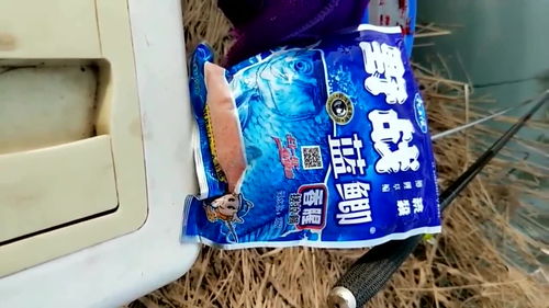 安子钓鱼饵料使用方法视频教程,从入门到精通