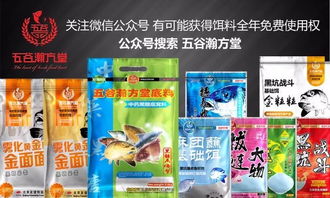 自制钓鱼饵料秘籍,从入门到精通的全方位指南