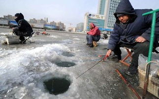 寒冬垂钓秘籍,冬季饵料配制全攻略