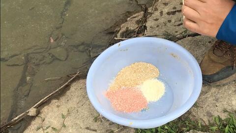 钓鱼饵料老残料的妙用与处理技巧