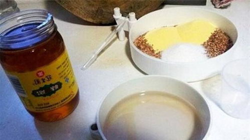 玉米饵料,钓鱼高手的秘密武器