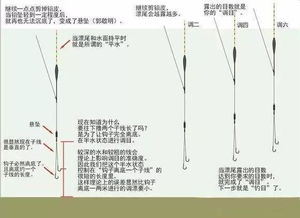 钓鱼饵料不沾手怎么办,全面解析与实用解决方案