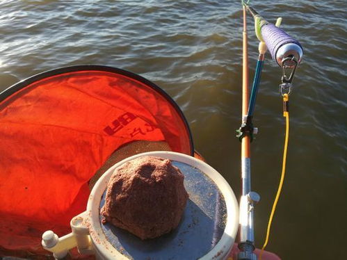 大鱼饵料,垂钓高手的秘密武器