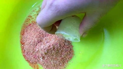 新手必看！钓鱼饵料选择与使用视频教程避坑指南