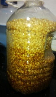 掌握30克饵料的黄金搭配,钓鱼高手的饵料秘籍