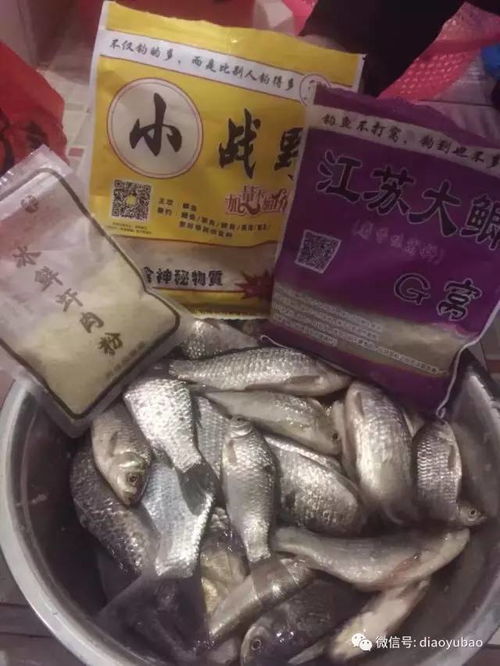 钓鱼饵料螺肉粉怎么用?这份详细指南让你轻松掌握!