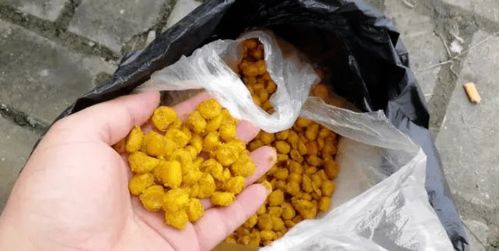 新手自制钓鱼饵料怎么做,从零开始的饵料制作全攻略