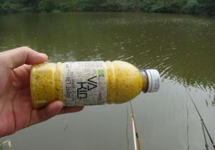 酒米钓鱼饵料，钓鱼人的秘密武器？