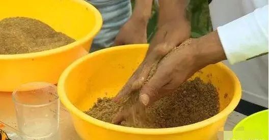 自制钓鱼饵料草饼,从材料到使用的完整教程