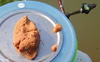 鹅肝钓鱼饵料怎么配比视频