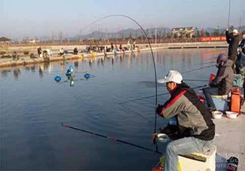 偷钓鱼塘饵料的正确方法?不,你该这样合法钓鱼!