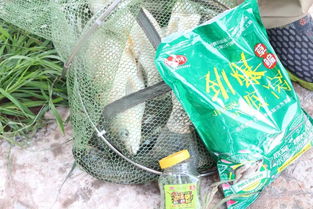 烈火饵料，夏季野钓的秘密武器