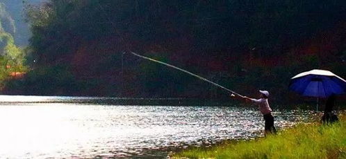 抛竿钓鱼饵料怎么放置好?这几点你掌握了吗?