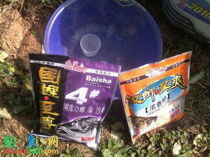 四季钓鱼,鱼饵料的科学搭配与实战技巧