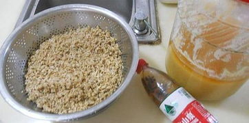 3加1饵料搅拌秘籍,从入门到精通的详细指南