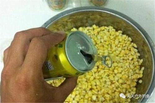 钓鱼饵料玉米球的使用方法详解
