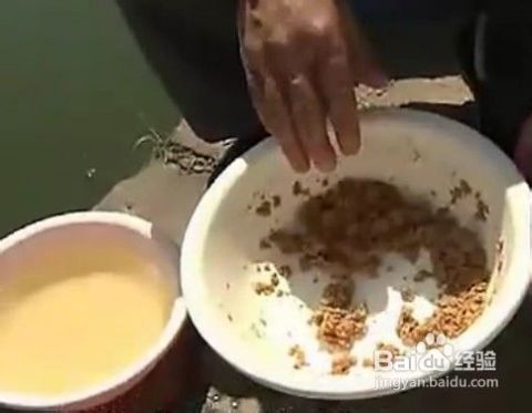 揭秘钓鱼饵料手雷的制作秘方,手把手教你拍出爆款视频教程