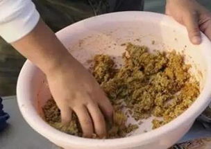 蜜汁钓鱼饵料配方,一步步教你如何制作