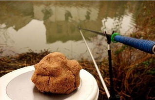 钓鱼饵料怎么选味型,实战秘籍与技巧全解析