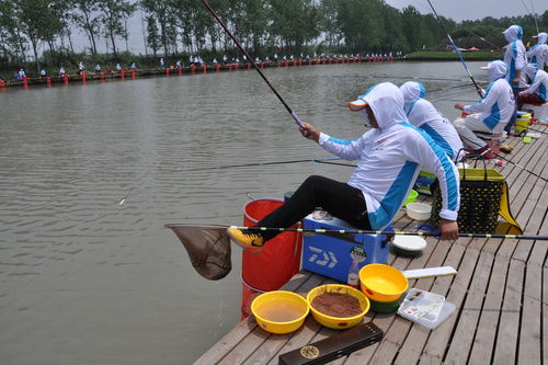 钓鱼饵料开湿了怎么办?应急处理与预防全攻略