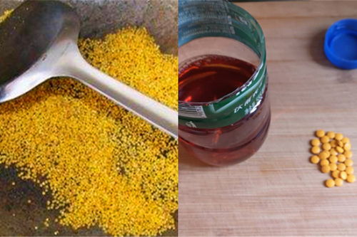 钓鱼饵料的配方怎么配好?科学配比与实战技巧全解析