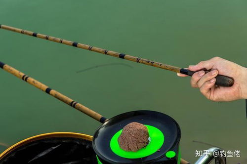 新手必看，饵料与鱼线选择全攻略