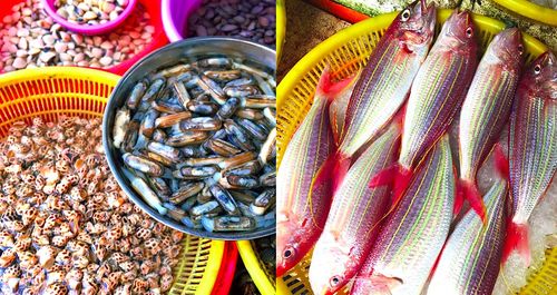 自制虾滑饵料全攻略，从食材选择到实战应用