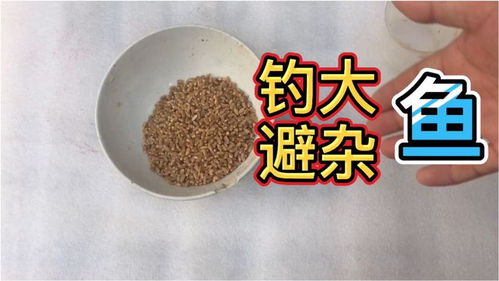 黑水河钓鱼饵料怎么配?这份配方和技巧请收好!