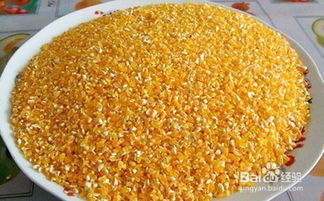 干玉米饵料的制作与钓鱼技巧