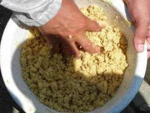 小物钓鱼饵料怎么搭配好?这份黄金配方让你轻松上鱼!