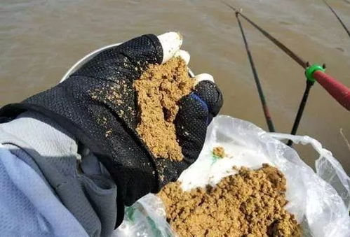 钓鱼饵料拍摄效果怎么样?揭秘饵料视觉表现对诱鱼的关键影响