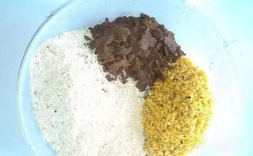 钓鱼饵料加红虫剂的正确方法与技巧