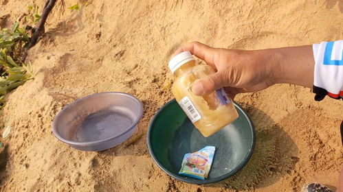 揭秘钓鱼饵料仙丹,效果到底怎么样?