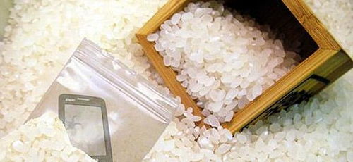 钓鱼饵料被晒了怎么办？这些处理方法太实用了！