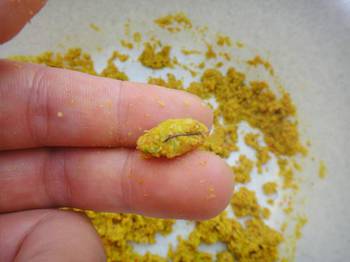 金子钓鱼饵料怎么样?专业钓手告诉你答案