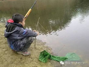 钓鱼饵料狂扔，是疯了还是有隐情？