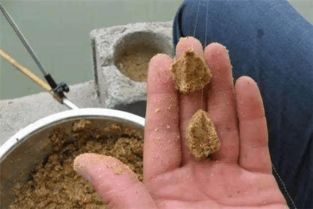 钓鱼饵料钓金鱼怎么样?饵料选择与使用全攻略