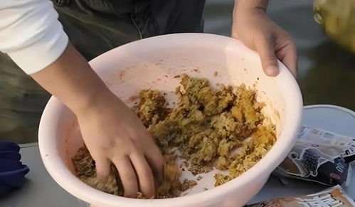 钓鱼饵料拉丝盆的使用方法详解