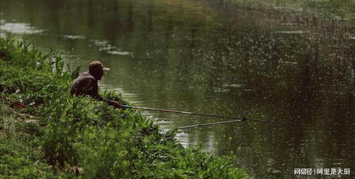 钓鱼饵料怎么改牢固的,提升垂钓成功率的关键技巧