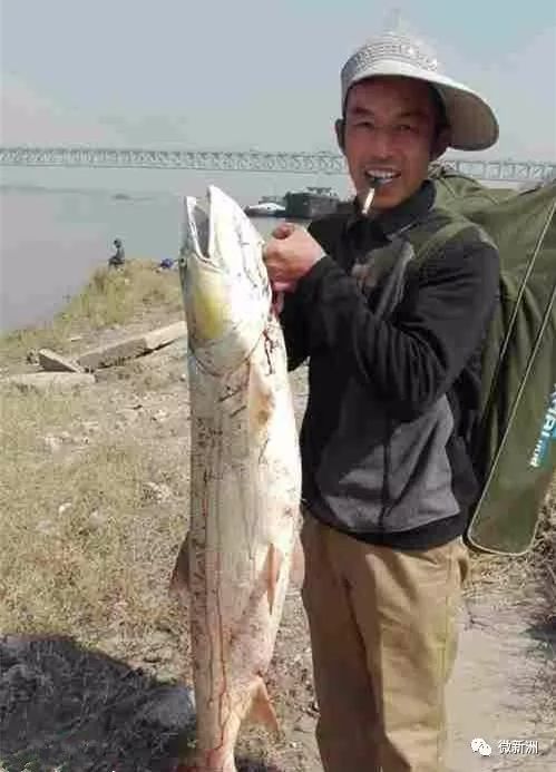 小黑江钓鱼饵料实战指南,如何选择最适合的饵料提升钓获率?
