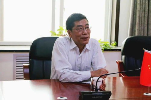 钓鱼饵料使用全攻略，从诱食到实战的完整指南